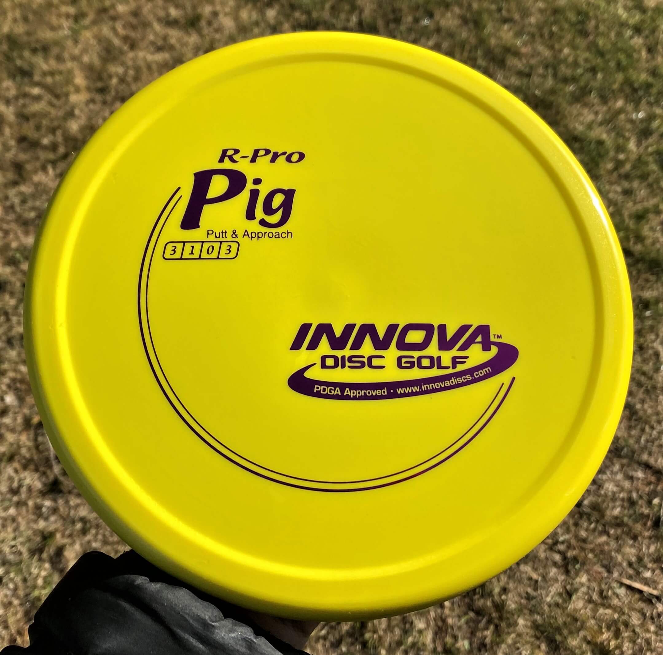 R-Pro Pig --170 grams (3872)