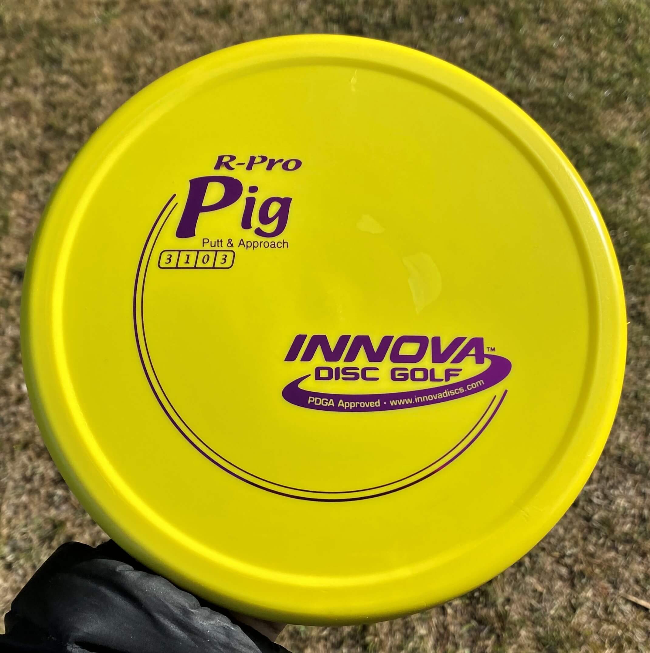 R-Pro Pig --171 grams (3873)