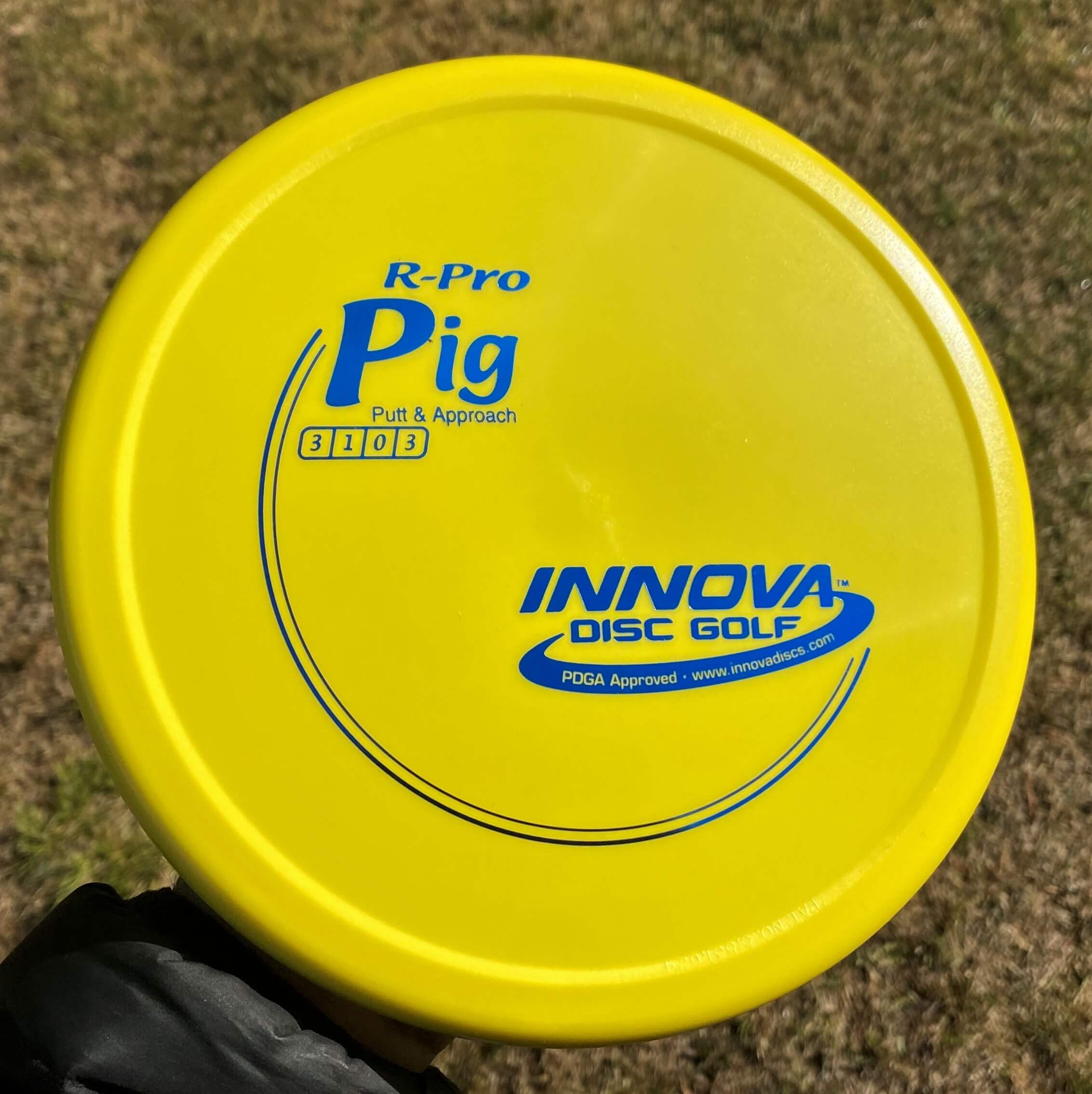 R-Pro Pig --171 grams (3876)