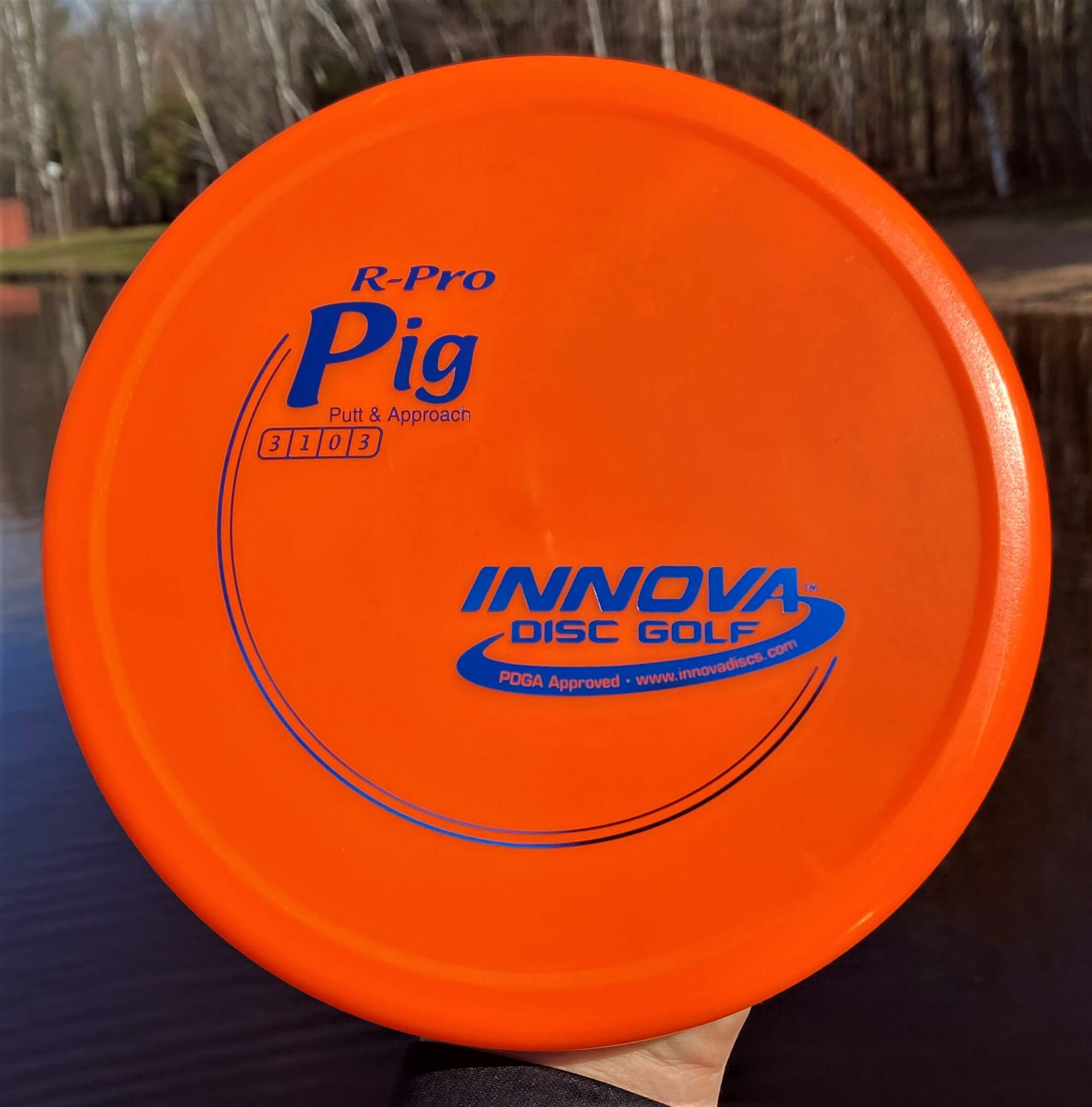R-Pro Pig --172 grams (3878)