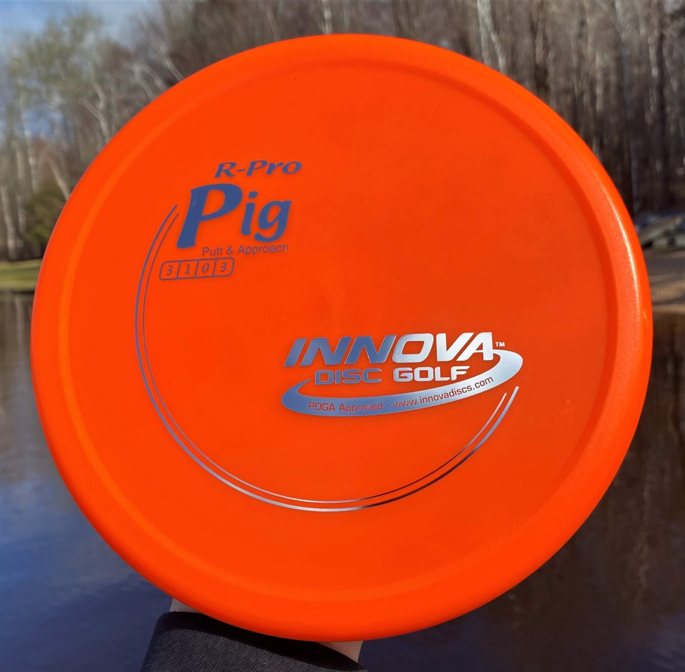 R-Pro Pig --171 grams (3880)