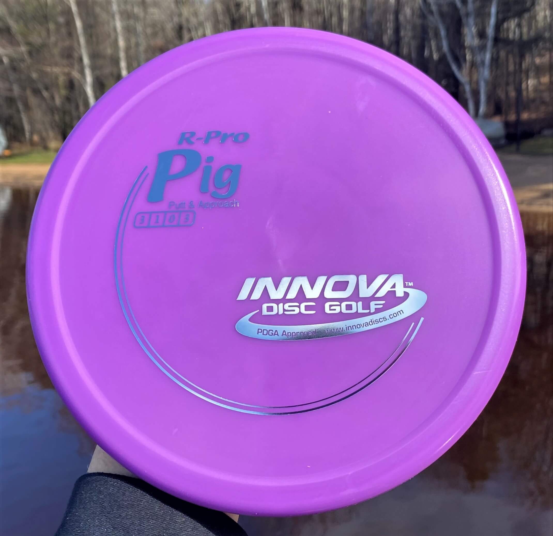 R-Pro Pig --171 grams (3886)