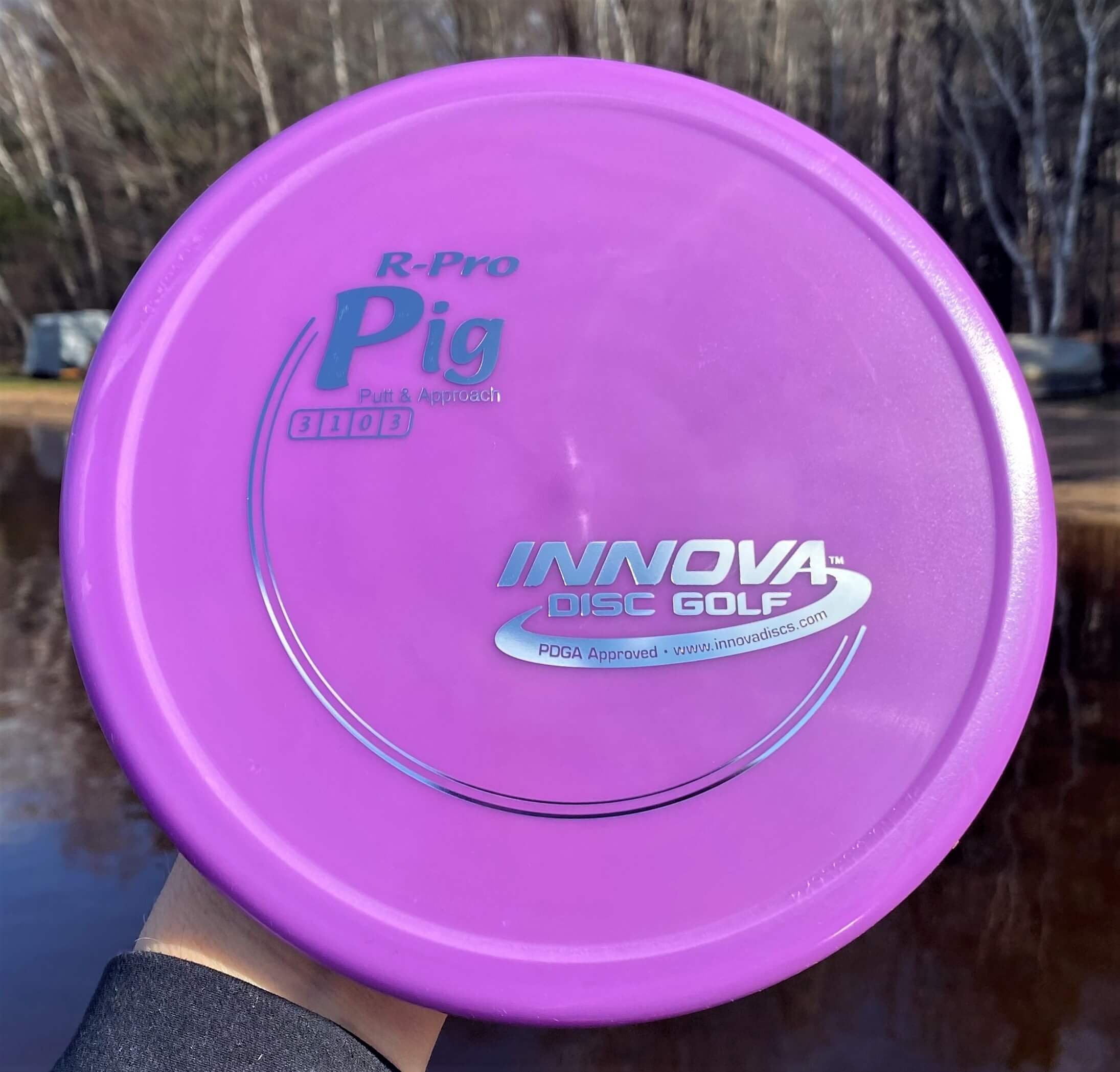 R-Pro Pig --171 grams (3888)
