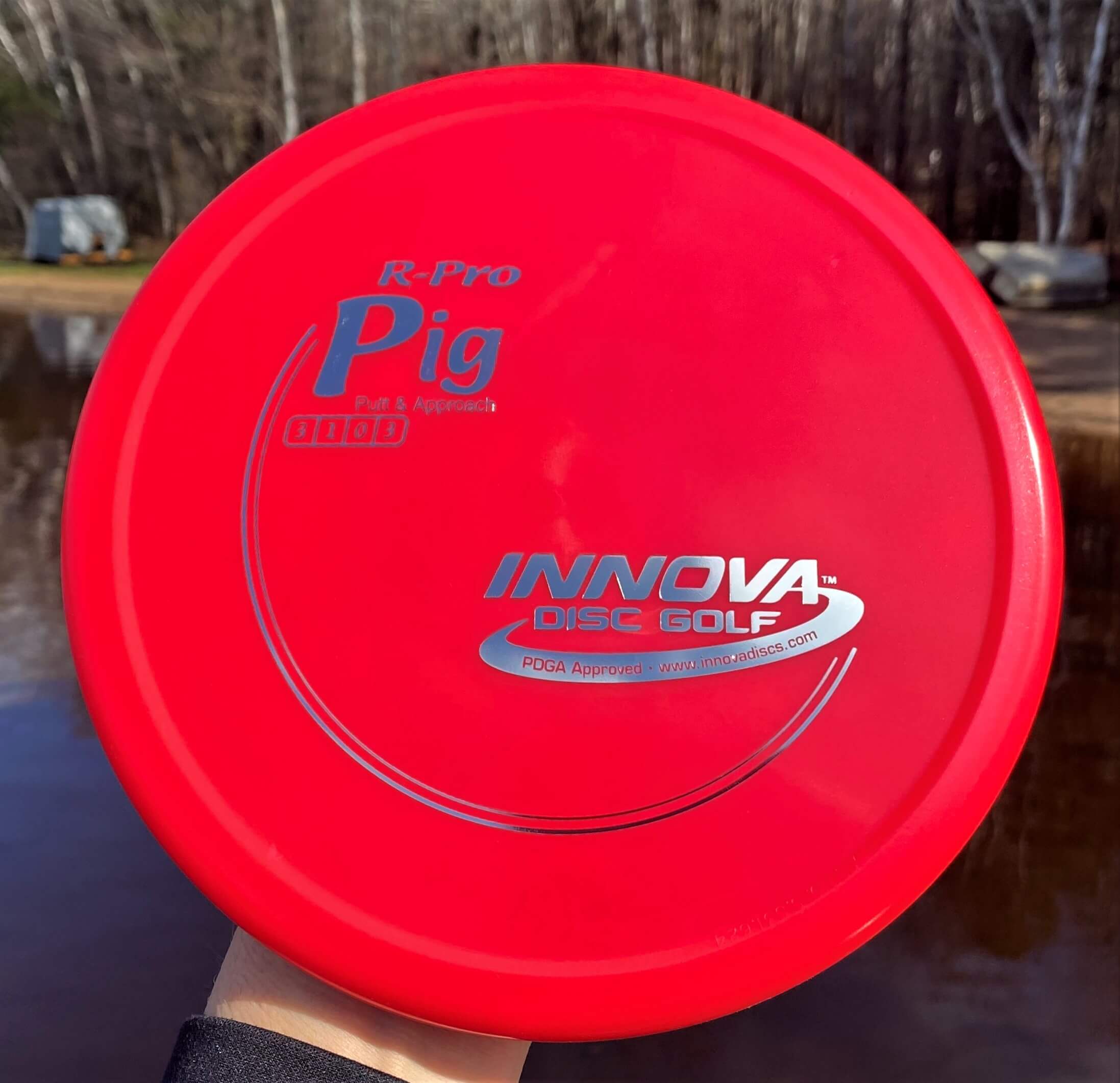 R-Pro Pig --172 grams (3889)