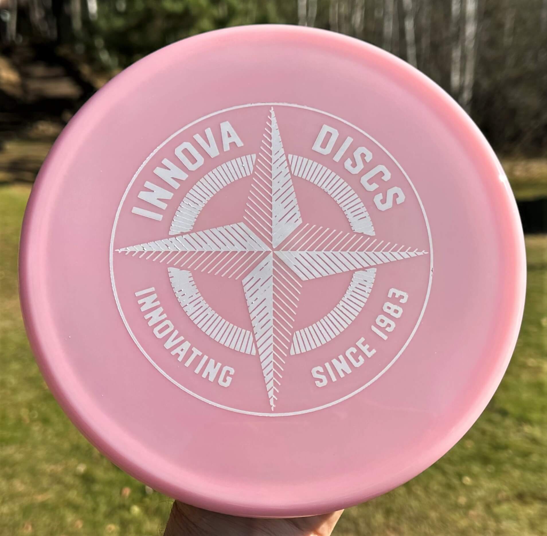 Proto Star First Run TORO -- Overstable Approach -- 171 grams (3010-1)