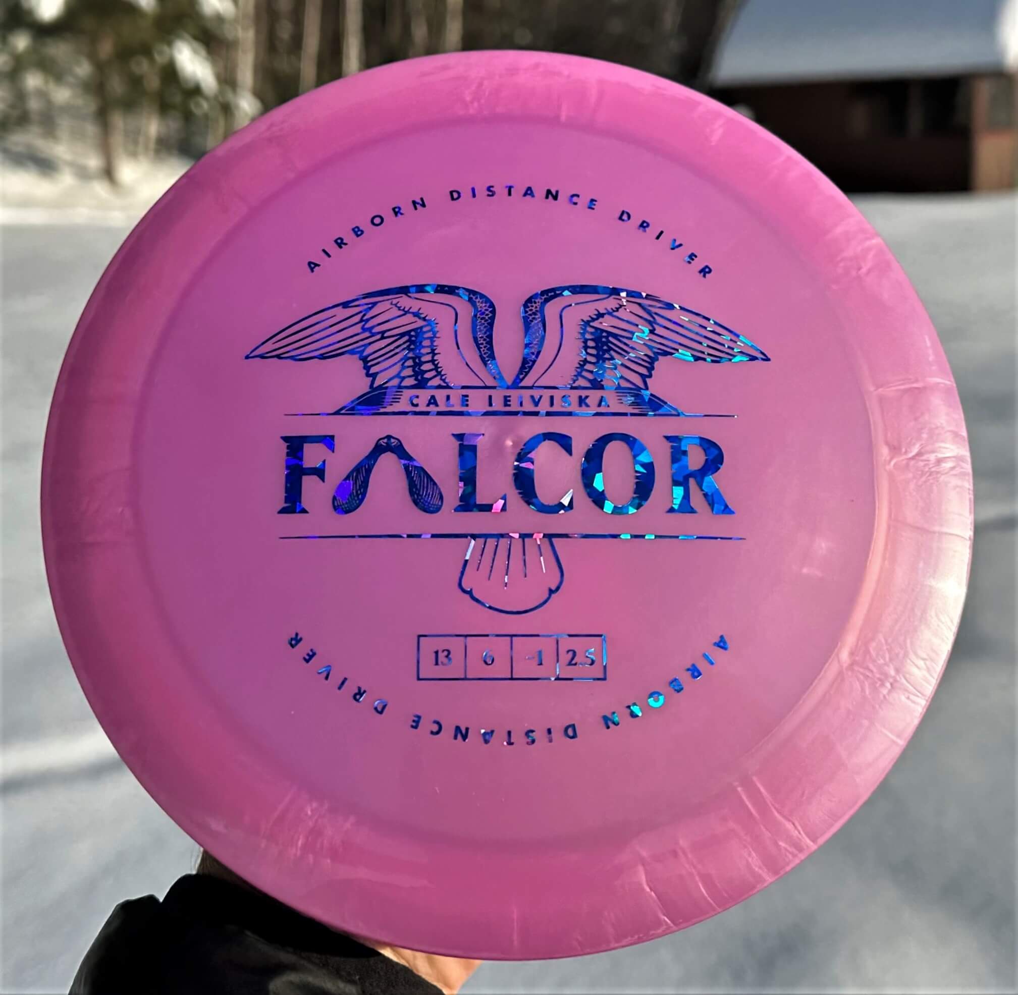 Cale Leiviska Airborn Falcor Distance Driver 500 by Prodigy -- 173 grams (3612-1)