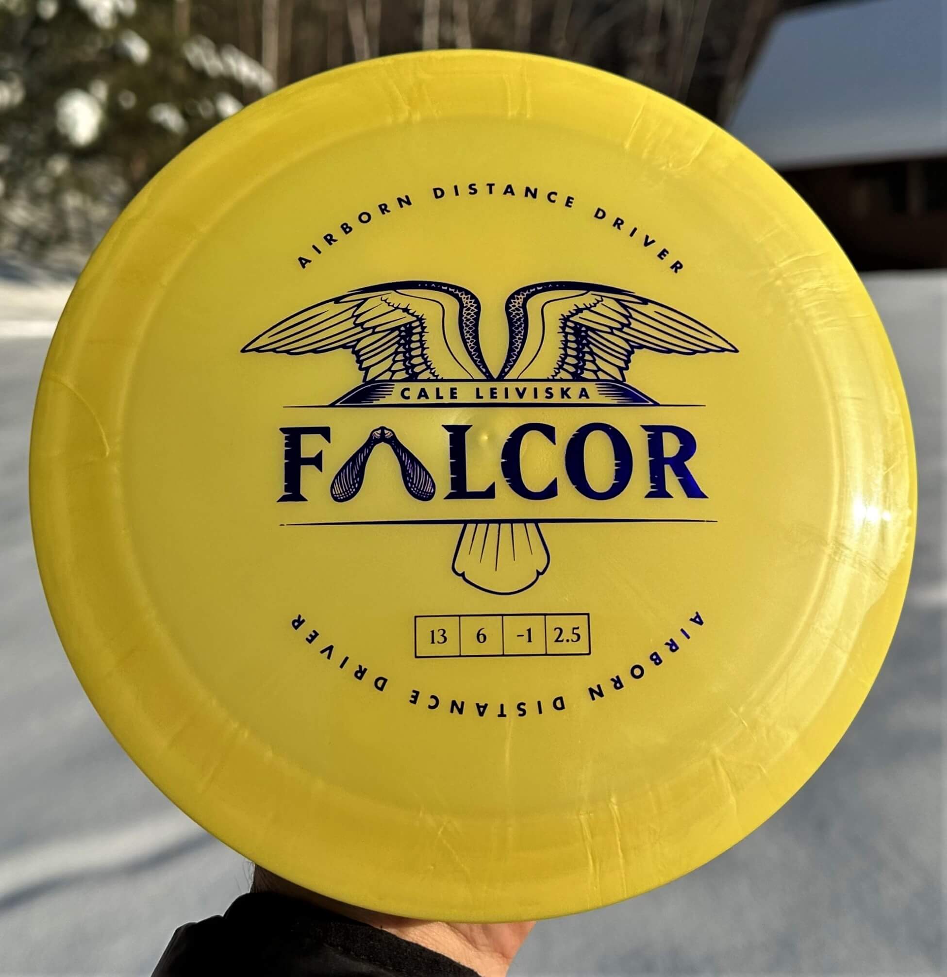 Cale Leiviska Airborn Falcor Distance Driver 500 by Prodigy -- 174 grams (3621-1)