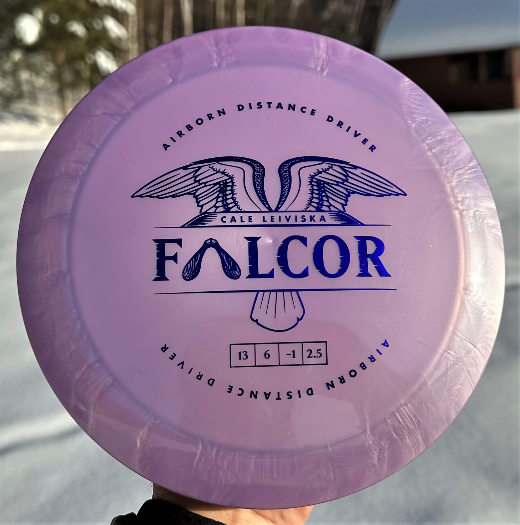 Cale Leiviska Airborn Falcor Distance Driver 500 by Prodigy -- 173 grams (3623-1)